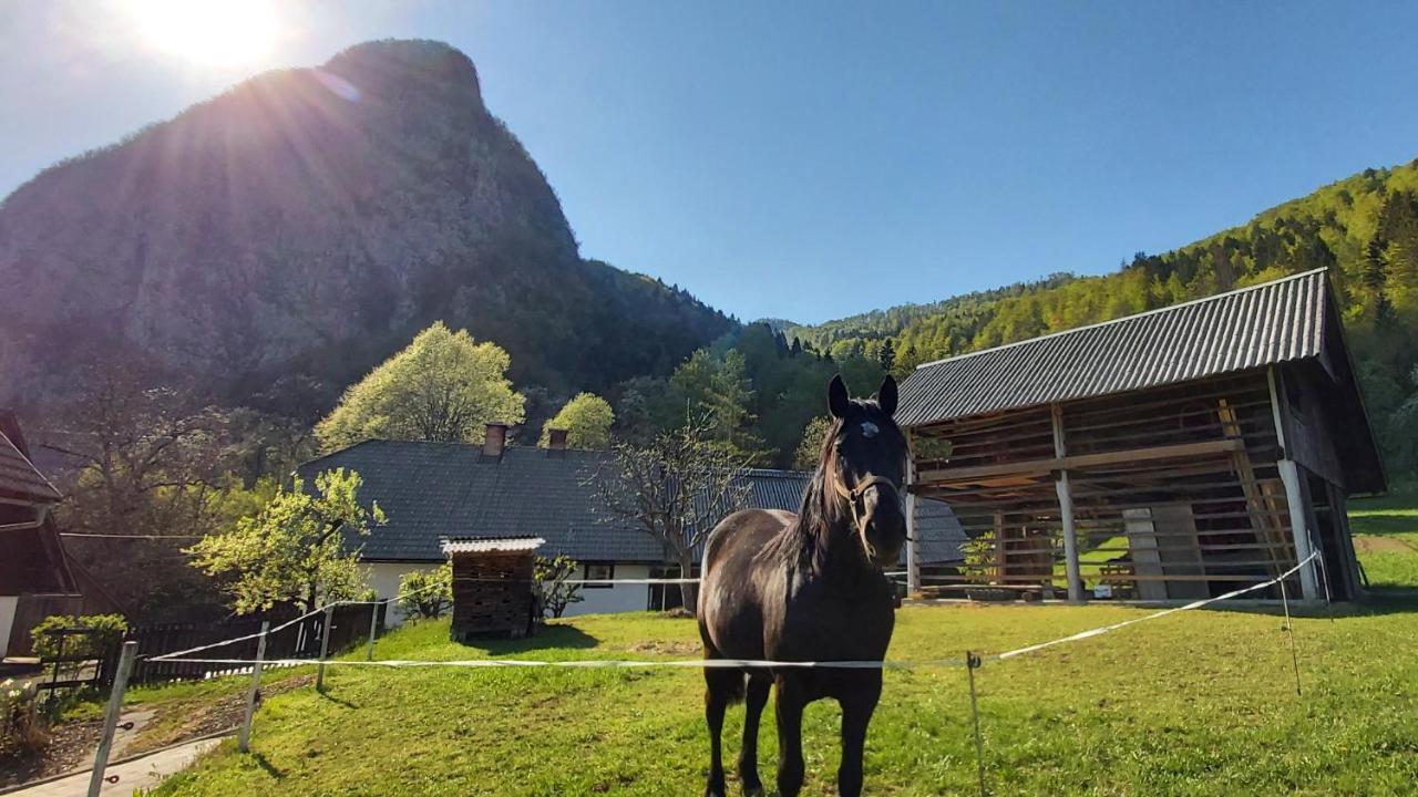 Apartmaji Pekovec Bohinj Exterior foto